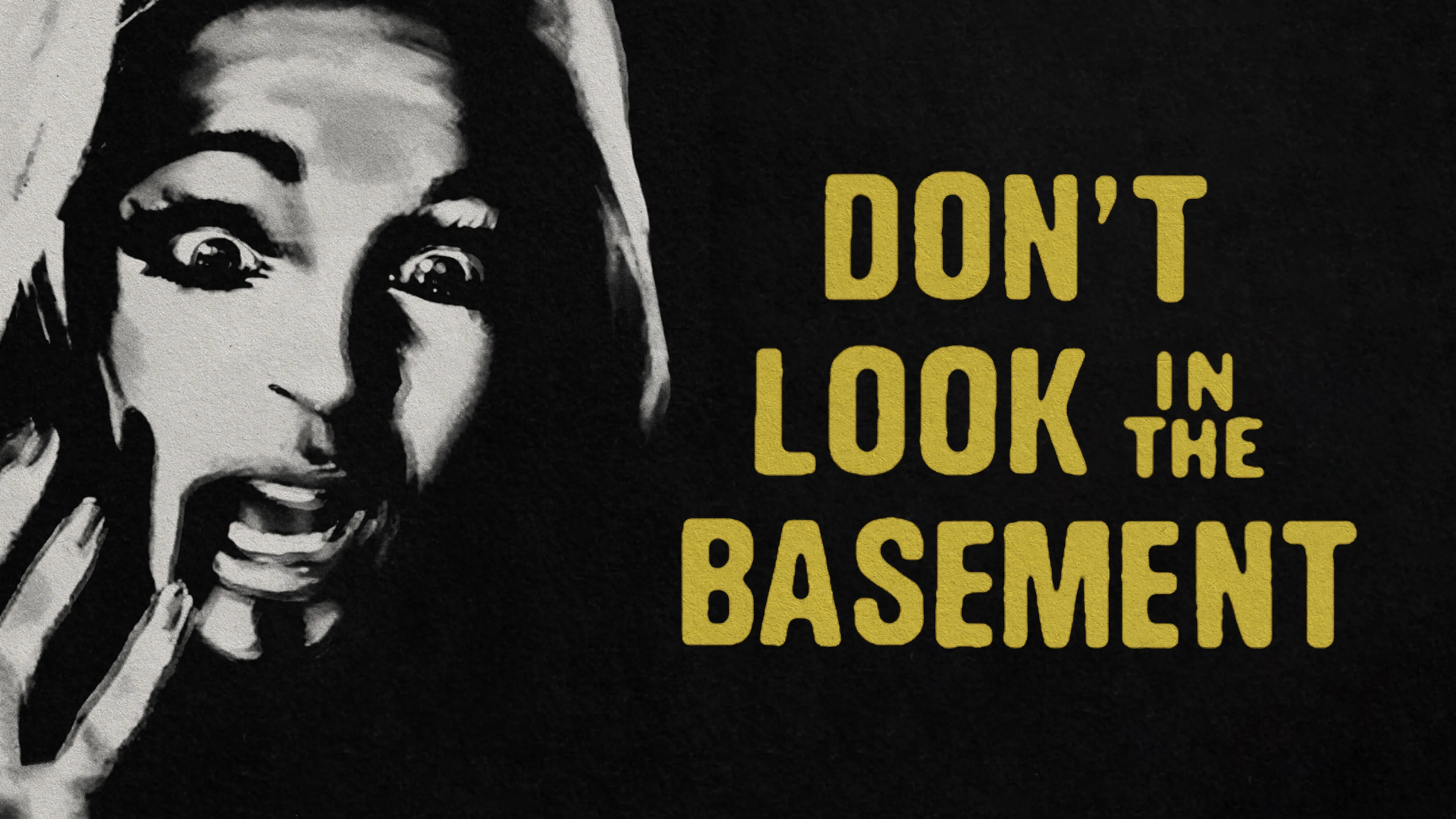 Don’t Look in the Basement poster